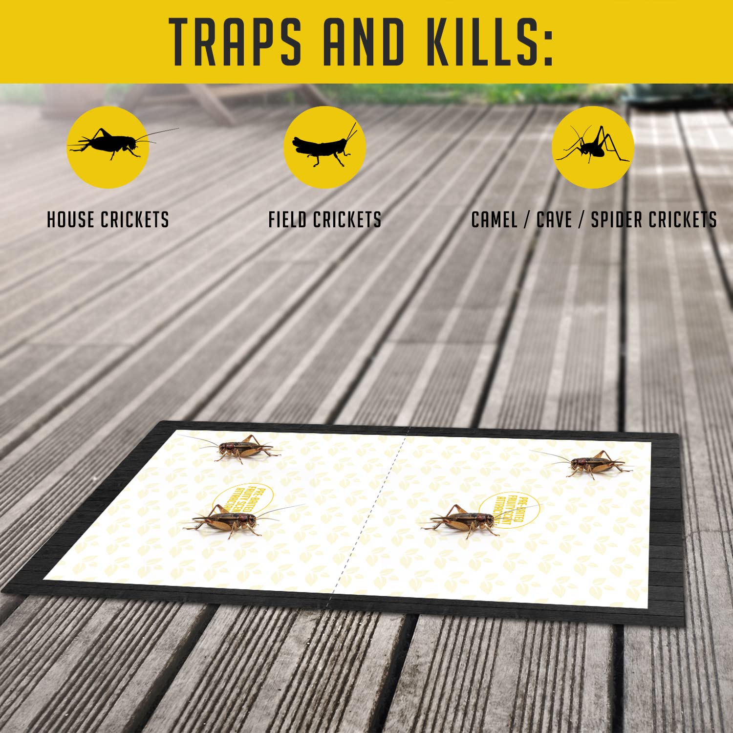 TRAP A PEST easy-to-use sticky traps for simple pest management