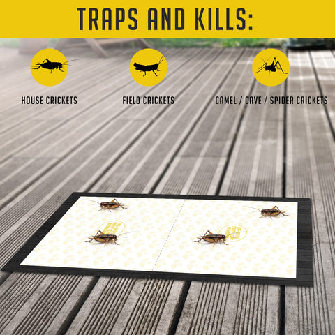 TRAP A PEST easy-to-use sticky traps for simple pest management