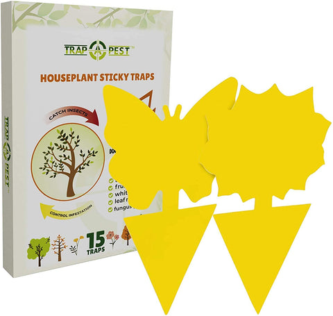 TRAP A PEST gnat traps offer eco-friendly pest control without harsh chemicals.