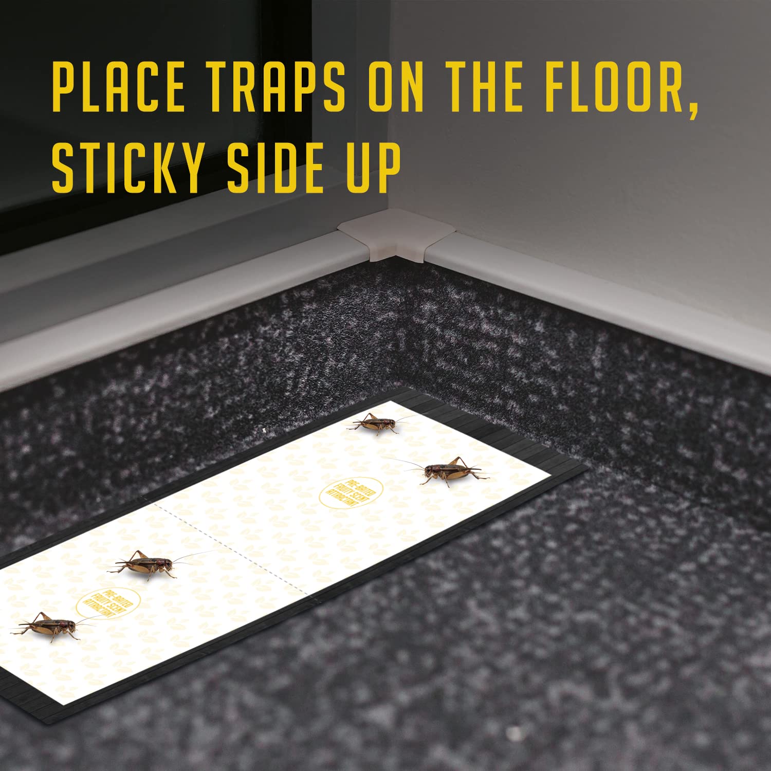 TRAP A PEST floor placement cricket traps for effective coverage