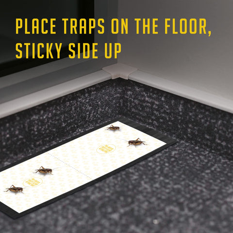 TRAP A PEST floor placement cricket traps for effective coverage