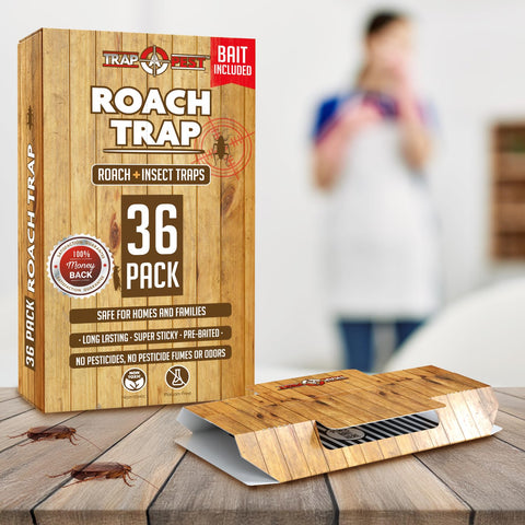TRAP A PEST glue trap with bait included for roach capture