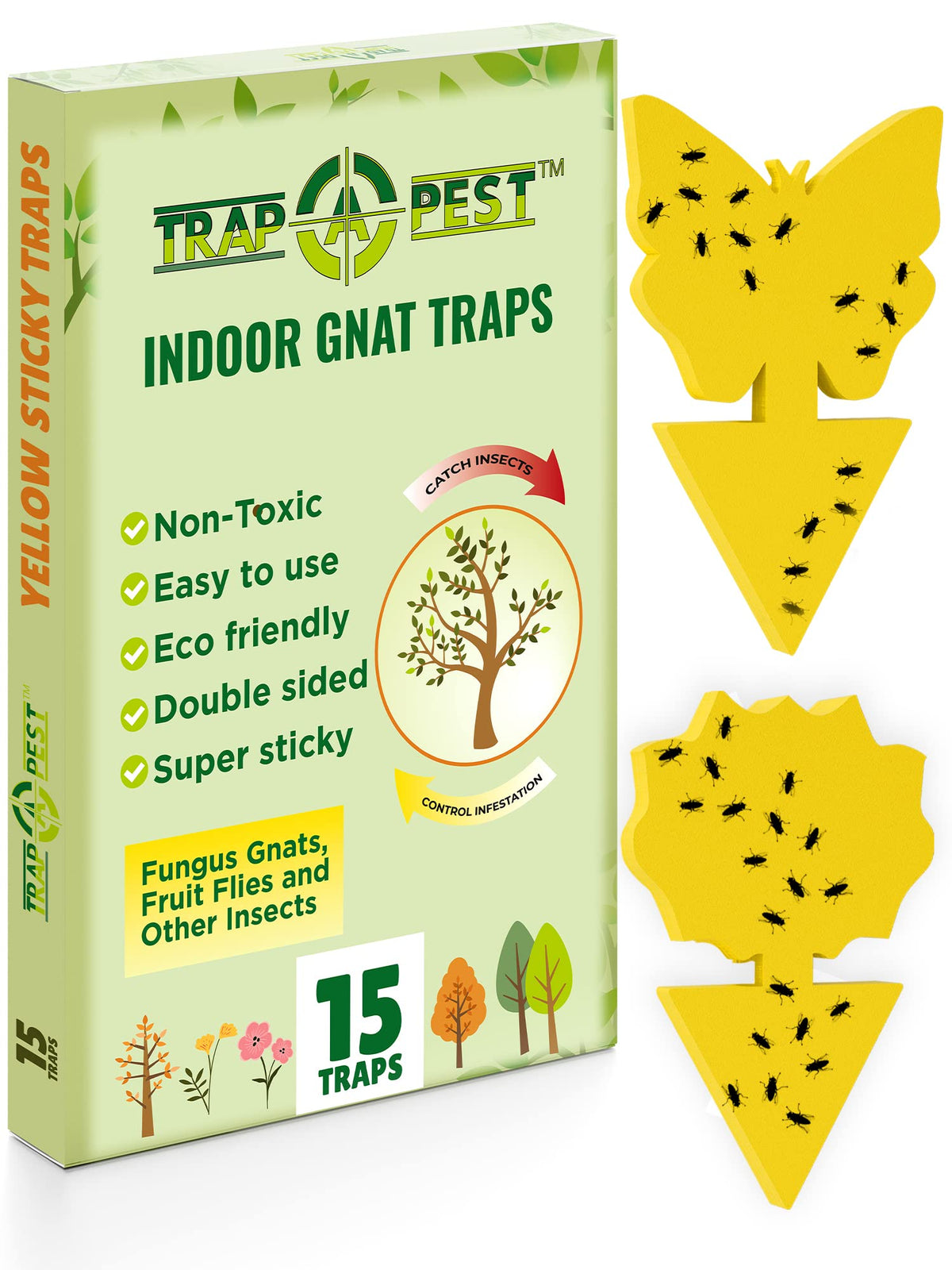 TRAP A PEST gnat trap on soil protects indoor plants.
