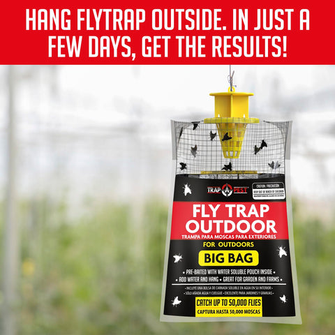 TRAP A PEST hanging fly trap bag outdoor net shows easy installation in yard