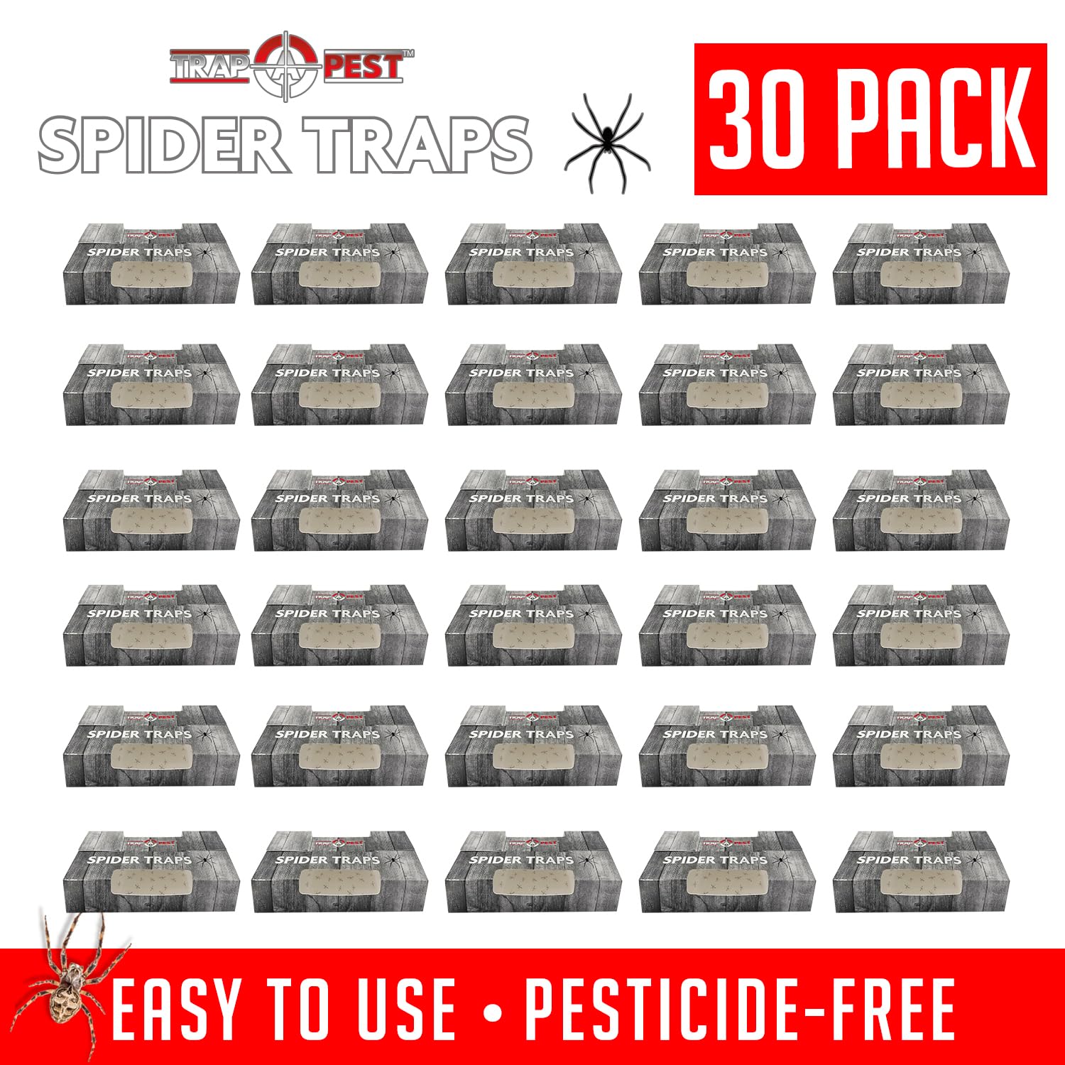 TRAP A PEST indoor bug trap highlights non-toxic glue for safe home use