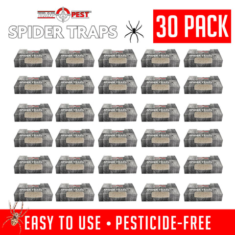 TRAP A PEST indoor bug trap highlights non-toxic glue for safe home use