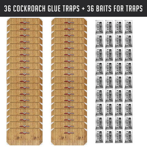 TRAP A PEST odor-free roach traps for discreet placement