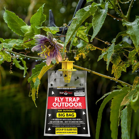 TRAP A PEST outdoor party fly trap helps keep guests comfortable