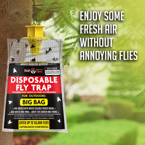 TRAP A PEST outdoor party fly control keeps guests comfortable.