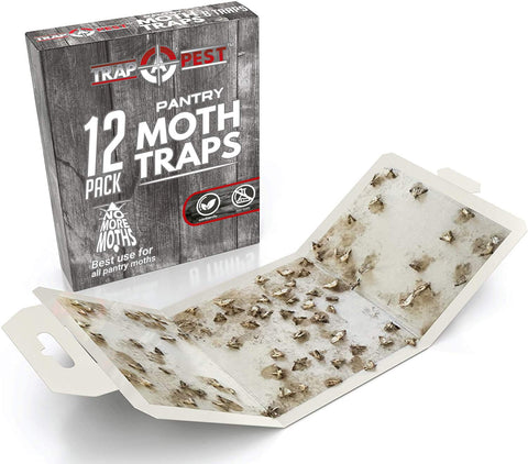 TRAP A PEST glue strip close-up shows quick setup for cupboards