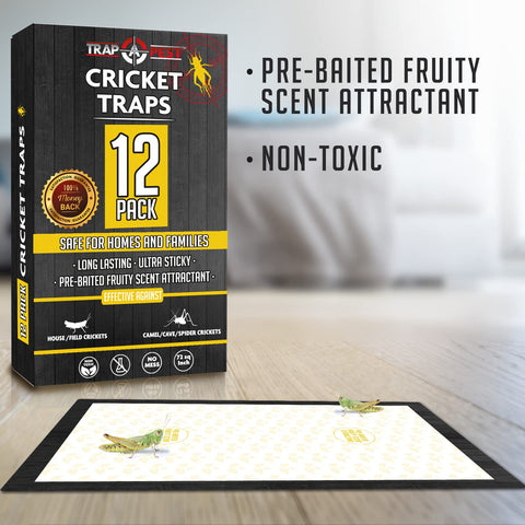 TRAP A PEST indoor pre-baited fruity scent traps on the floor against the wall