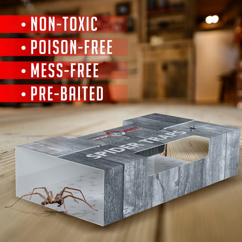 TRAP A PEST pre-baited ultra sticky glue trap ready for wall or floor use