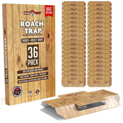TRAP A PEST roach trap indoor 36-pack ready for quick pest control