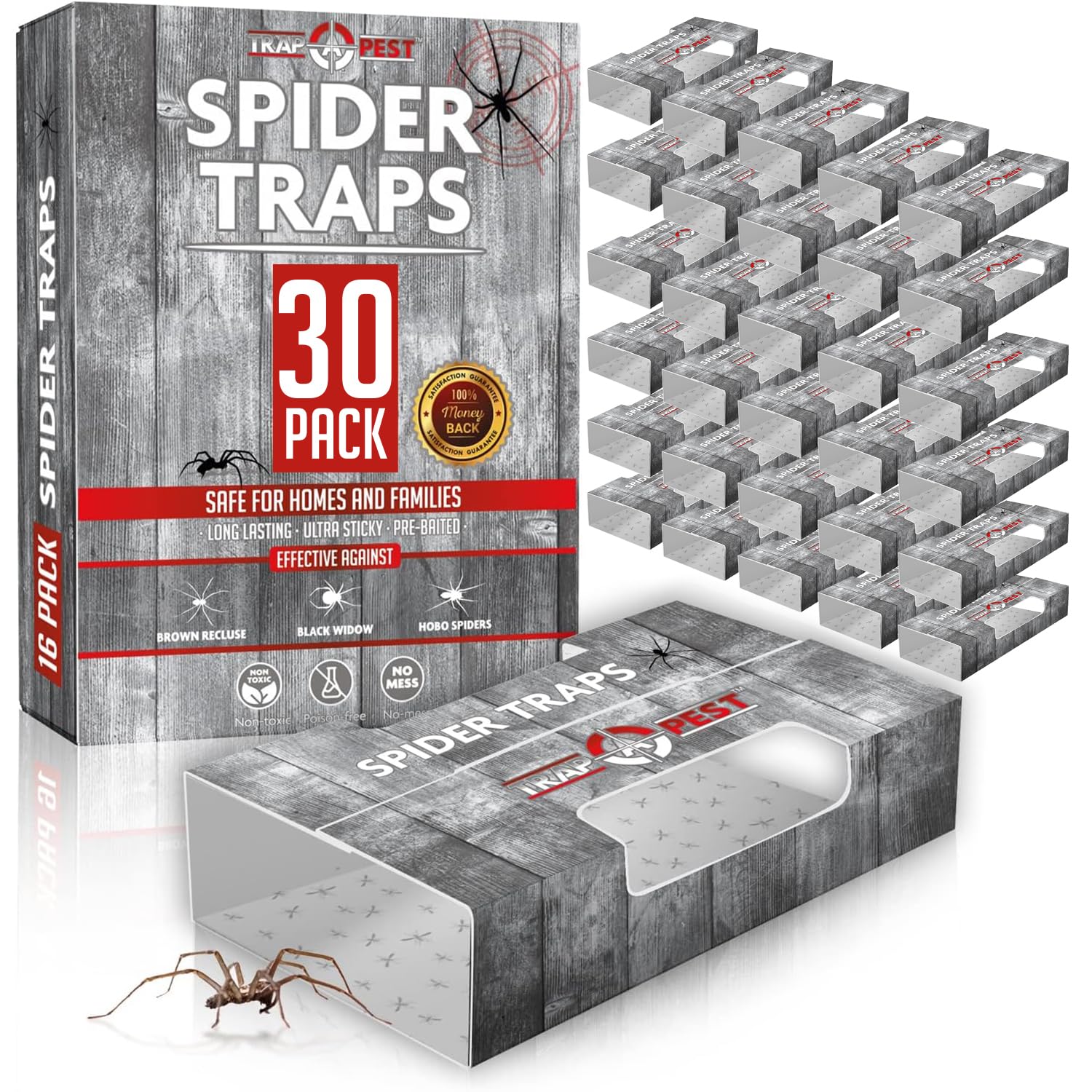 TRAP A PEST spider traps inside view showing indoor glue panels for spider capture