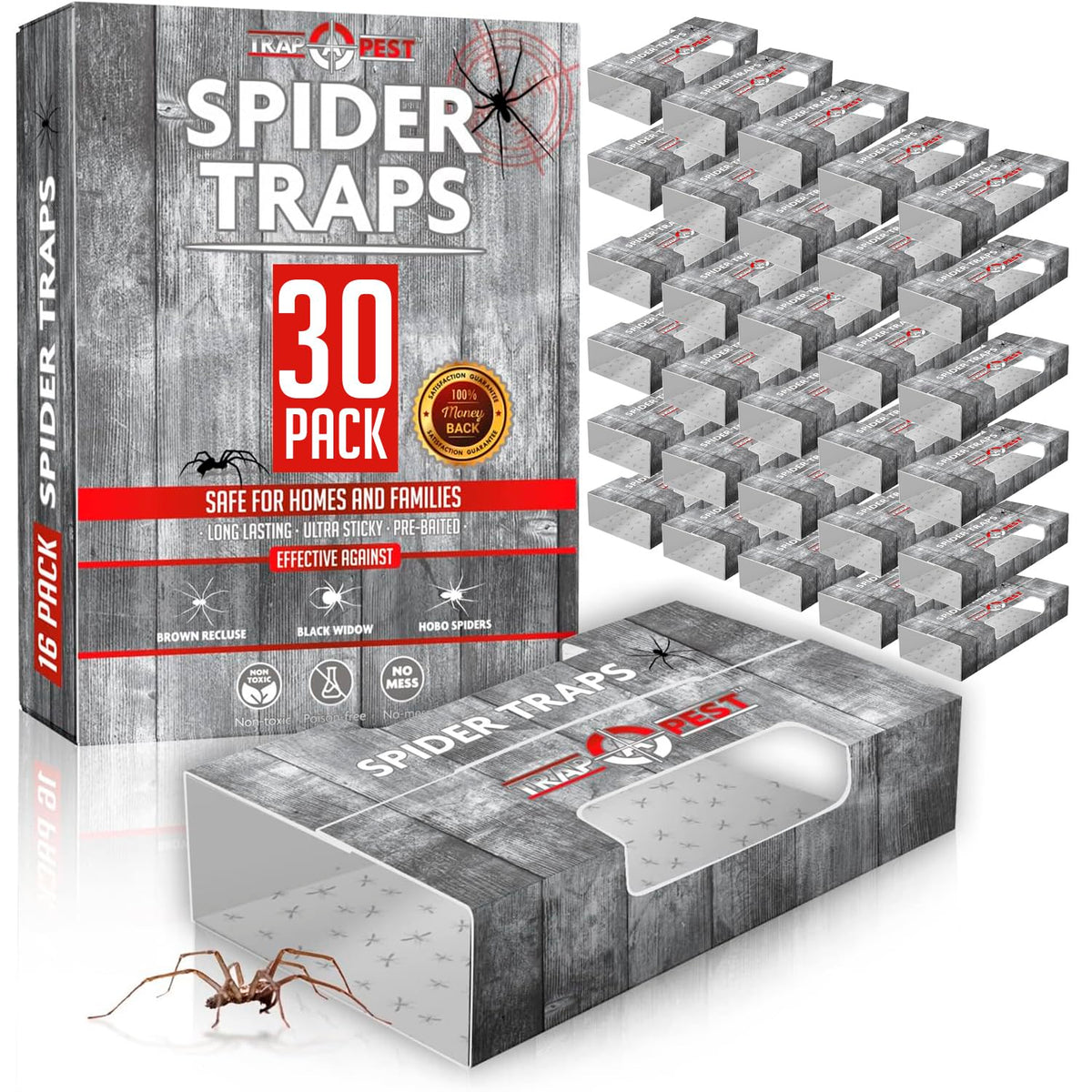 TRAP A PEST spider traps inside view showing indoor glue panels for spider capture