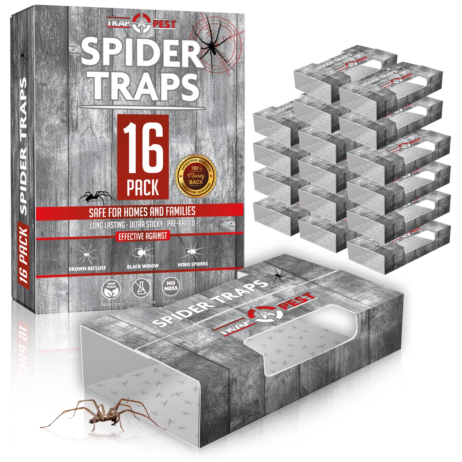 TRAP A PEST spider traps inside packaging with pre-baited glue for indoor use.