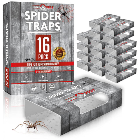 TRAP A PEST spider traps inside packaging with pre-baited glue for indoor use.