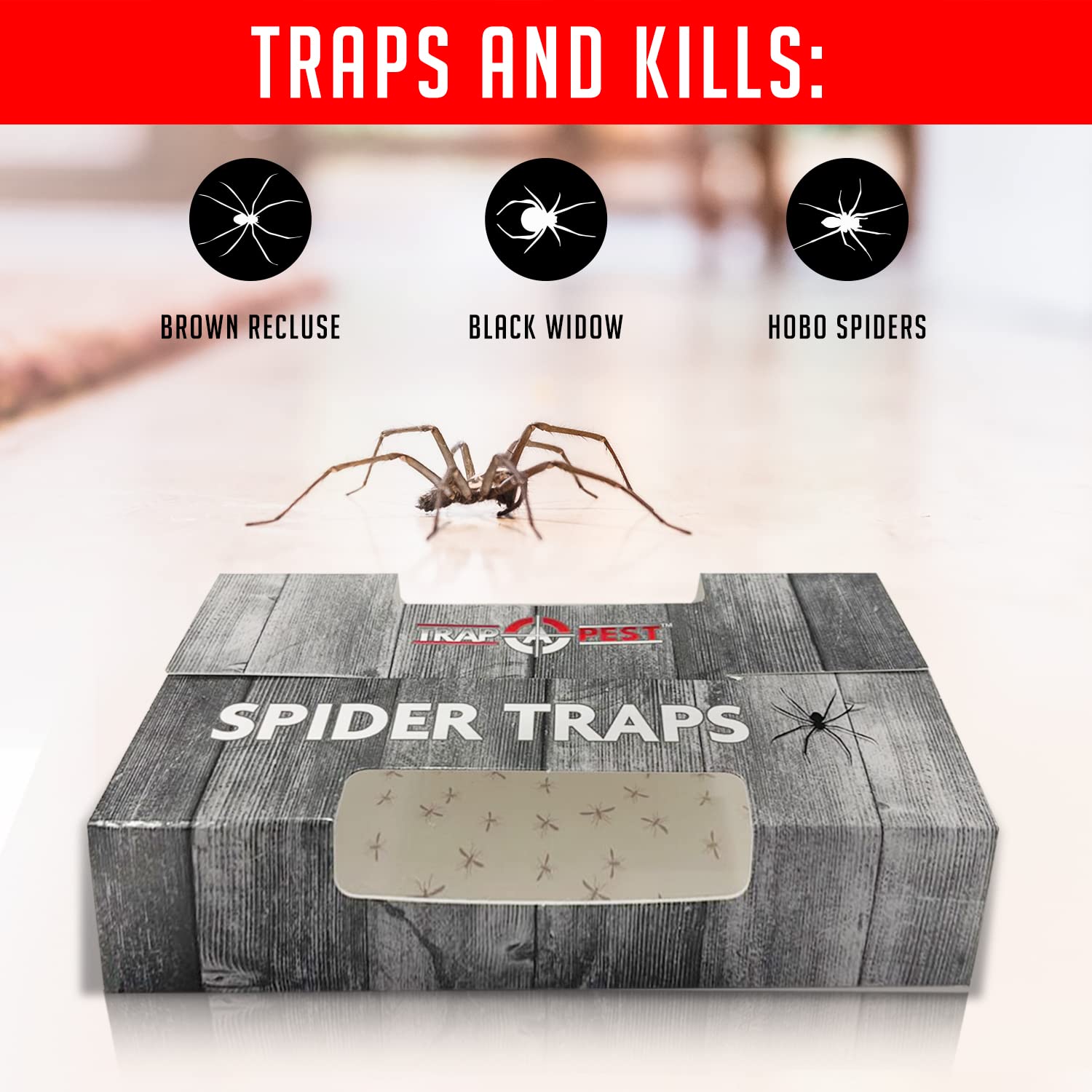 TRAP A PEST trap placed against wall to target entry points.