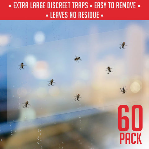 TRAP A PEST 60-pack box ready for quick setup