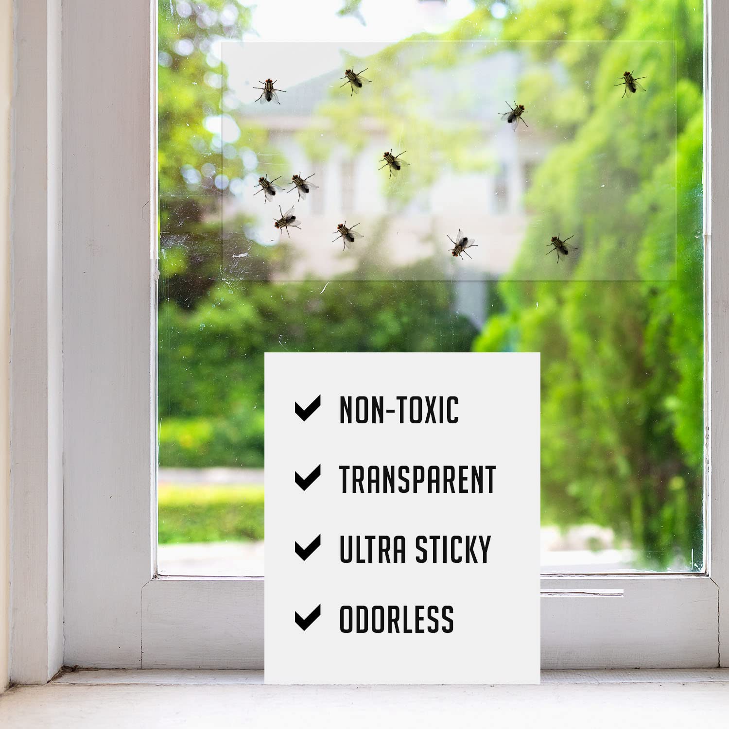 TRAP A PEST window fly traps indoor clear 30-pack shows easy peel-and-stick installation