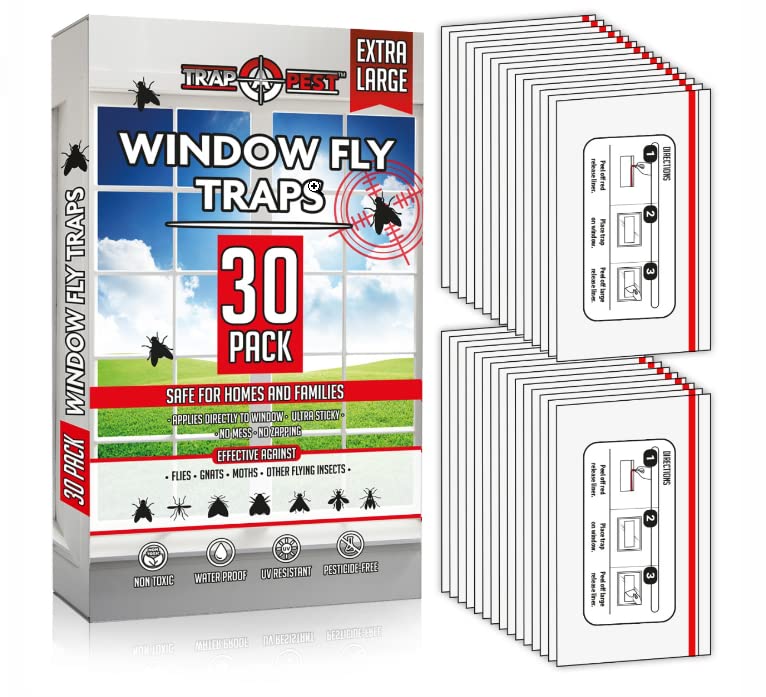 TRAP A PEST window fly traps indoor clear 30-pack shown on window for odorless control