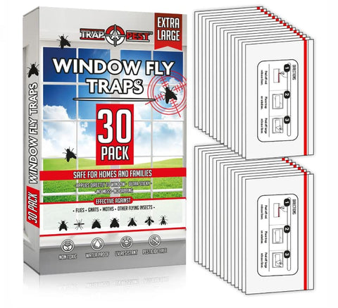 TRAP A PEST window fly traps indoor clear 30-pack shown on window for odorless control