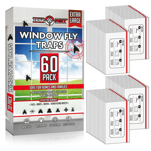 TRAP A PEST window traps on a clear pane capture flies without clutter
