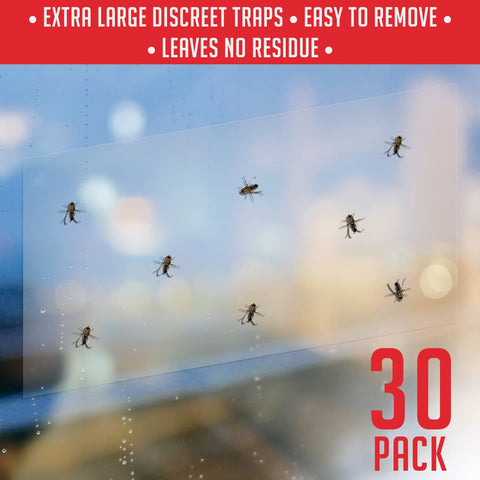 TRAP A PEST closeup of translucent sticker highlighting transparent surface for discreet placement