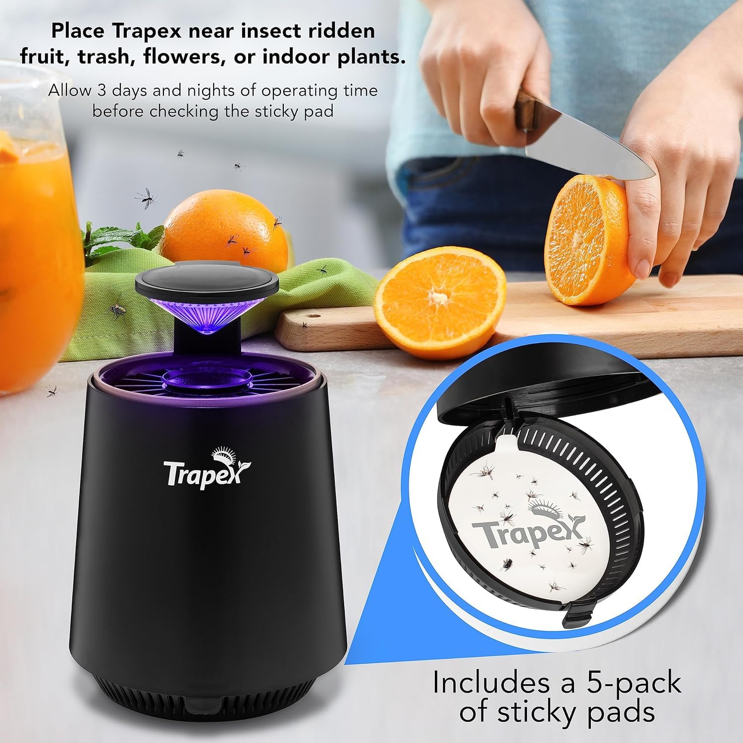 Trapex Indoor Fly Trap UV light panel at dusk attracts indoor pests.