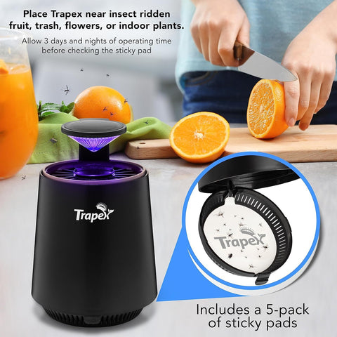 Trapex Indoor Fly Trap UV light panel at dusk attracts indoor pests.