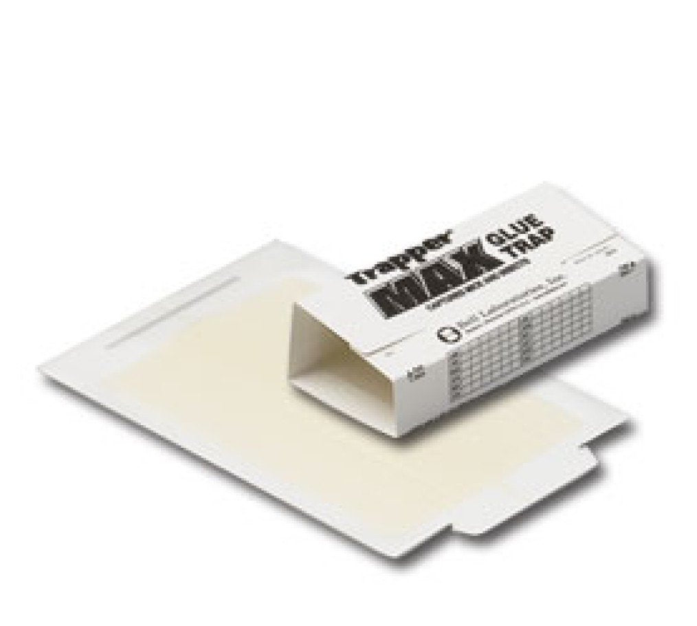 Trapper Max 11 glue board trap in white with six scented boards for pest control.