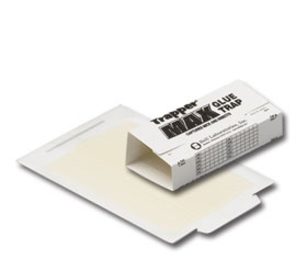 Trapper Max glue board showing large 29 sq in capture area for indoor pest control.