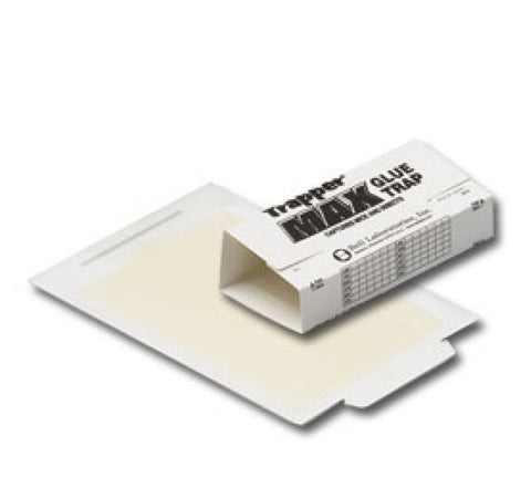 Trapper Max glue board showing large 29 sq in capture area for indoor pest control.