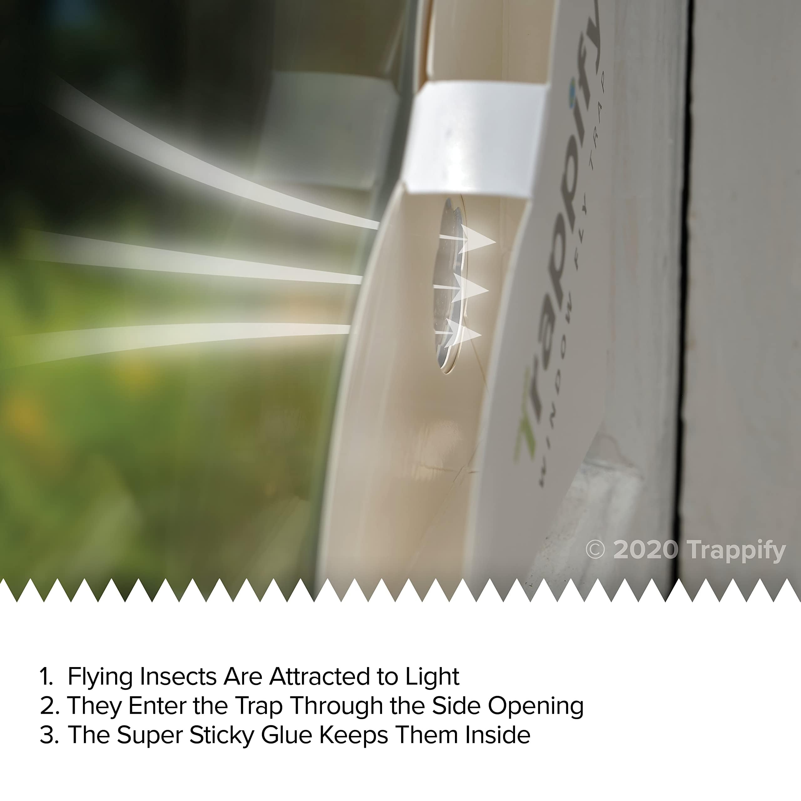 Trappify Disposable Fly Trap close view highlighting sticky adhesive strips.
