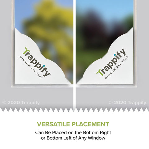 Trappify fly trap kitchen window placement near fruit bowl.
