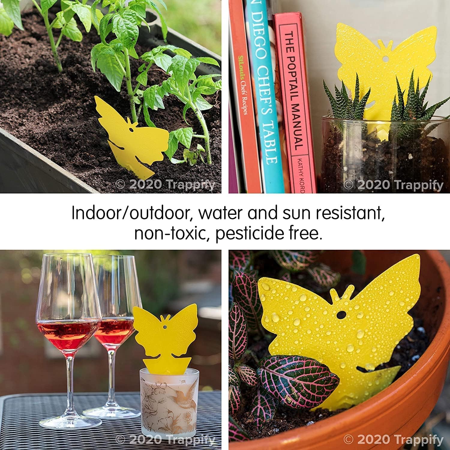 Trappify fruit fly trap in action indoors near fruit bowl