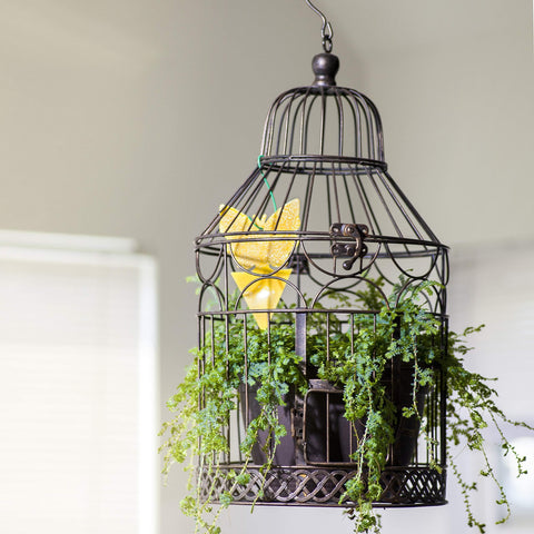 Trappify glue trap used as a simple indoor pest catcher