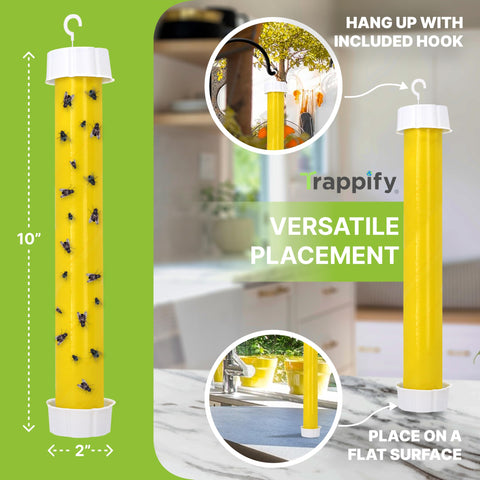 Trappify gnats trap placed in corner reduces flying insects indoors.