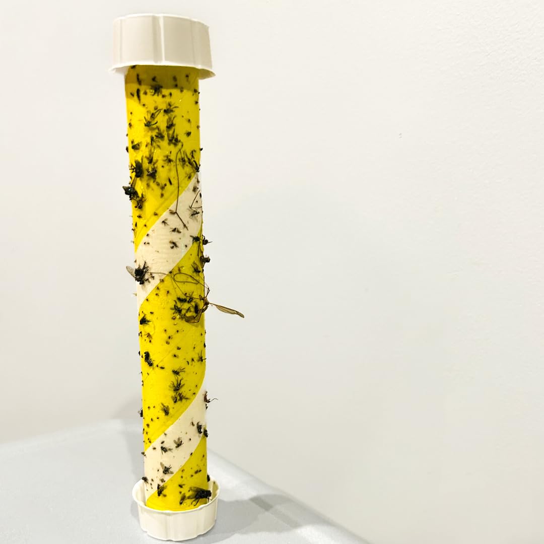 Trappify hanging fly trap indoors for comprehensive pest defense.