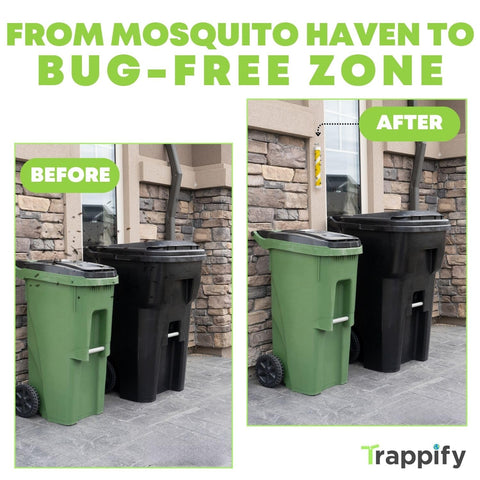 Trappify hanging fly trap near kitchen window reduces pests