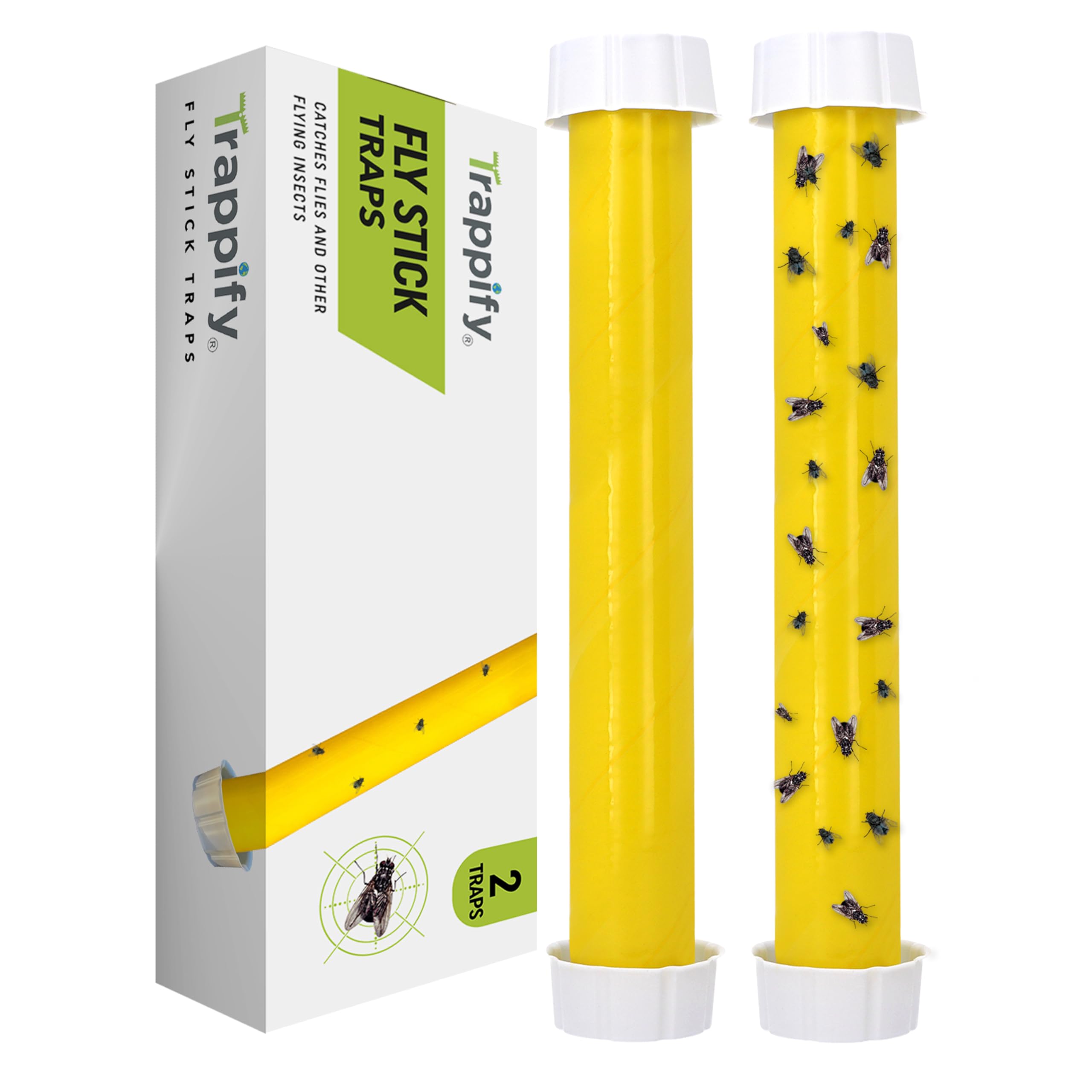 Trappify hanging fly trap outdoors captures gnats and flies for porch pest control.