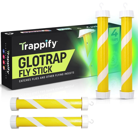 Trappify recycled-paper fly trap material supports eco-friendly design.