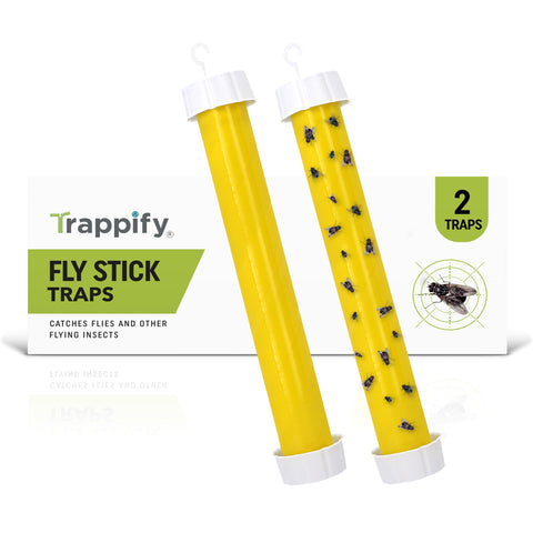Trappify sticky fly trap in action captures insects quickly indoors.