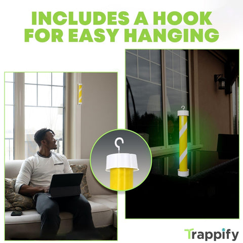 Trappify two-pack fly traps offering versatile indoor and outdoor coverage