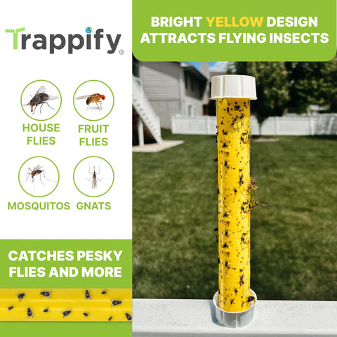 Trappify yellow sticky trap ready to deploy near bug hotspots.
