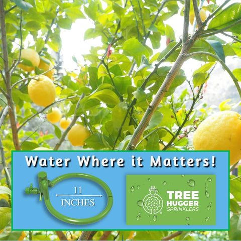 Tree Hugger versatility suits saplings and mature trees in yards and gardens.