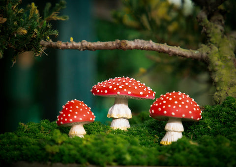 Tree Poetry fairy garden decor brings playful charm to plant pots.