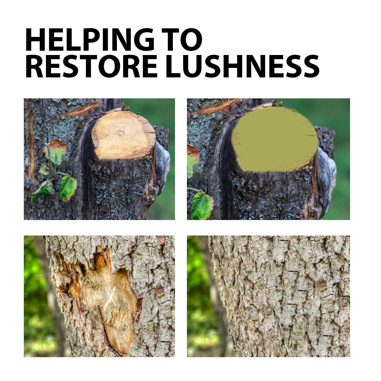Tree Wound Repair assisting seedling care and early healing.