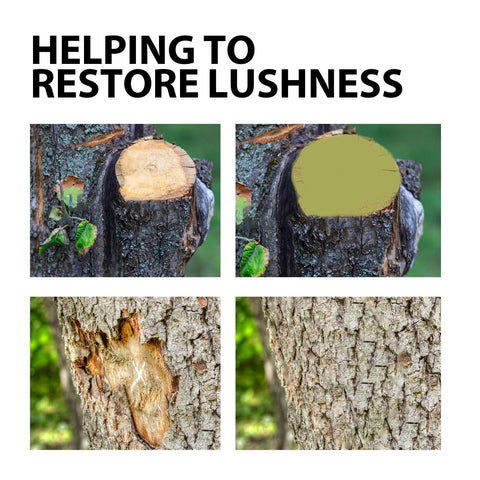 Tree Wound Repair assisting seedling care and early healing.
