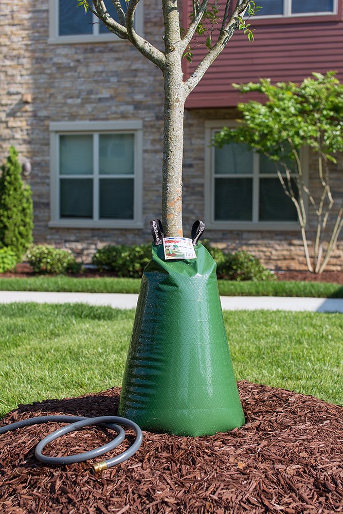 20-gallon Treegator capacity bag highlighting large water reserve.